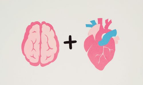 Técnicas Comprovadas Para Aumentar a Inteligência Emocional