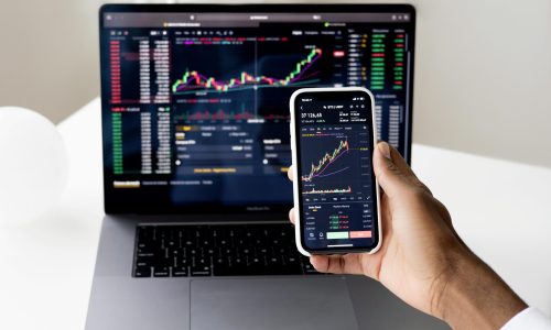 Os Melhores Investimentos para Iniciantes em 2025: Guia Completo